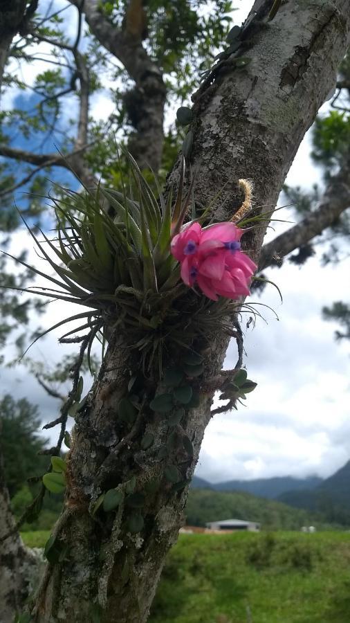 Hostel E Pousada Vale Mirante Da Rocha Timbe do Sul Kültér fotó